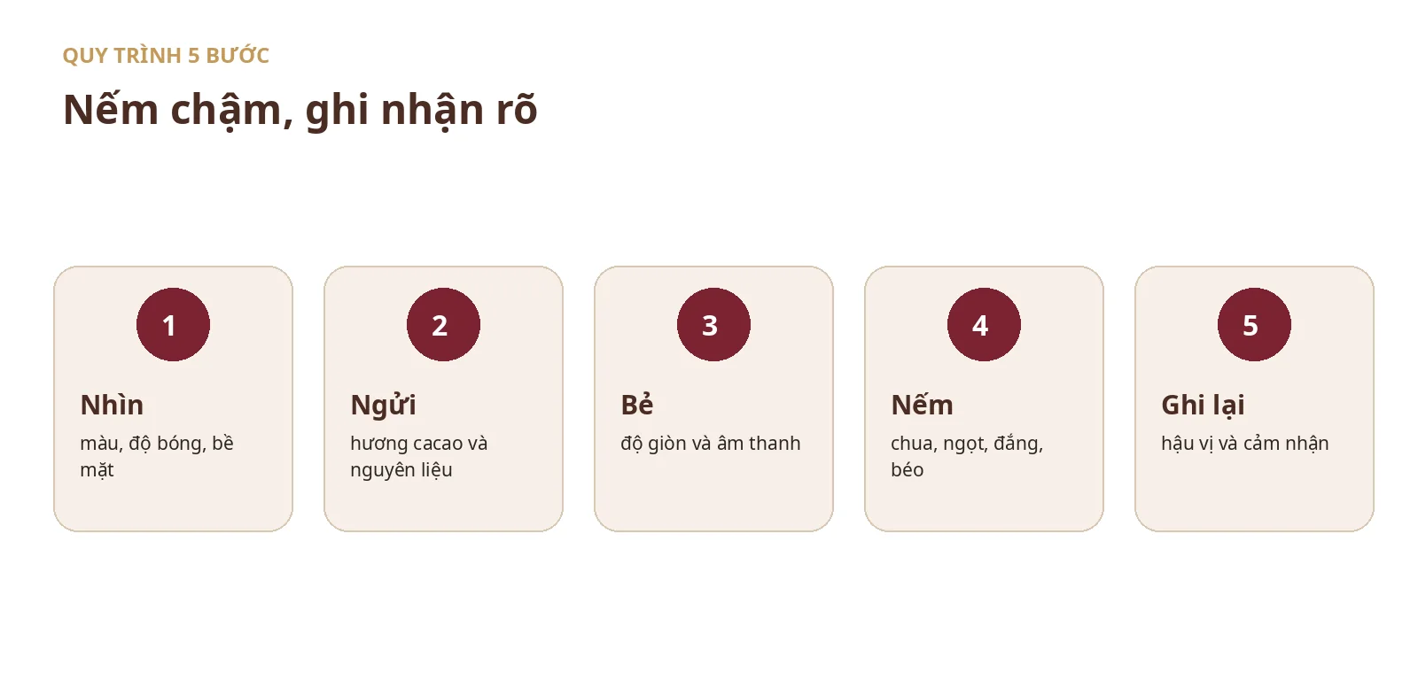 Quy trình 5 bước nhìn ngửi bẻ nếm và ghi lại khi tasting socola