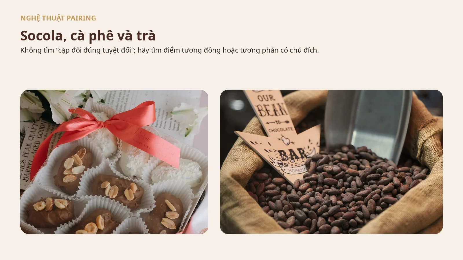 Socola kết hợp cà phê và trà: Cách pairing để hương vị nâng nhau thay vì lấn át