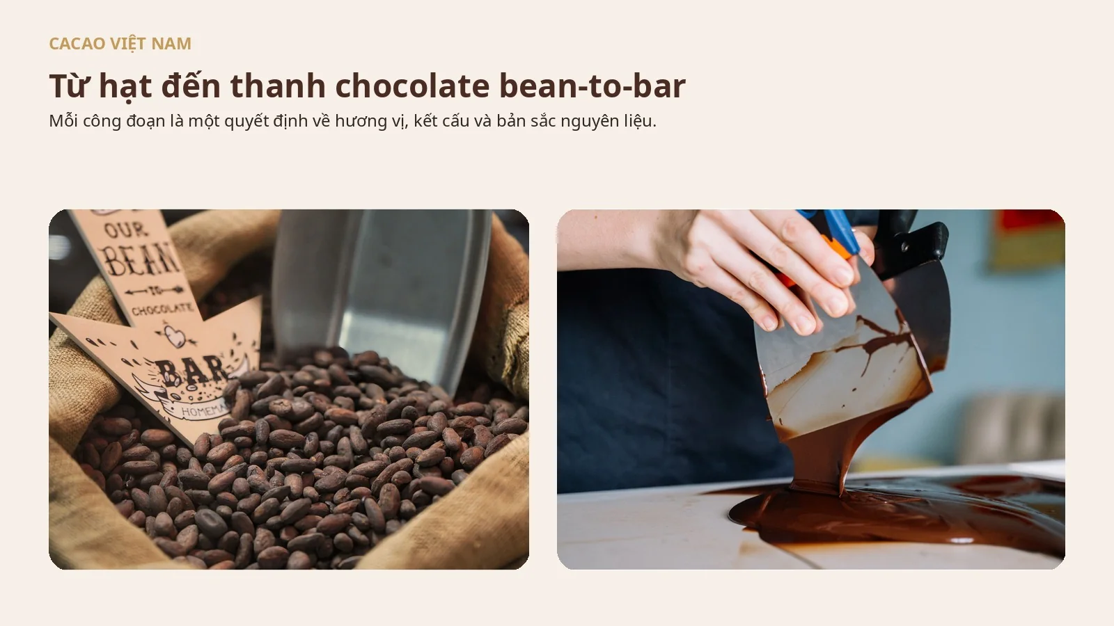 Từ hạt cacao Việt Nam đến thanh chocolate bean-to-bar: Hành trình tạo nên bản sắc