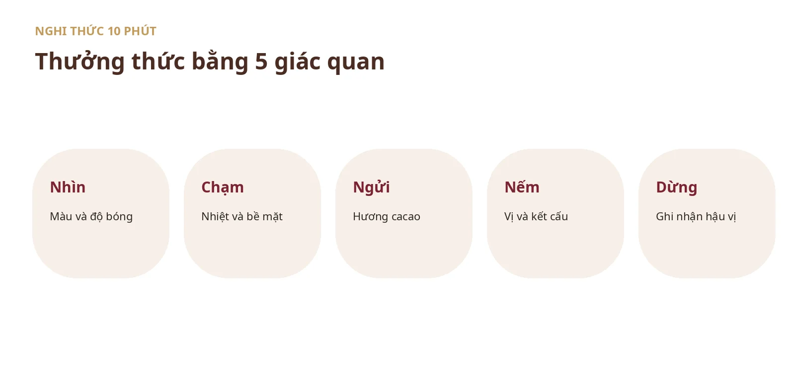 Năm giác quan nhìn chạm ngửi nếm và dừng khi thưởng thức socola